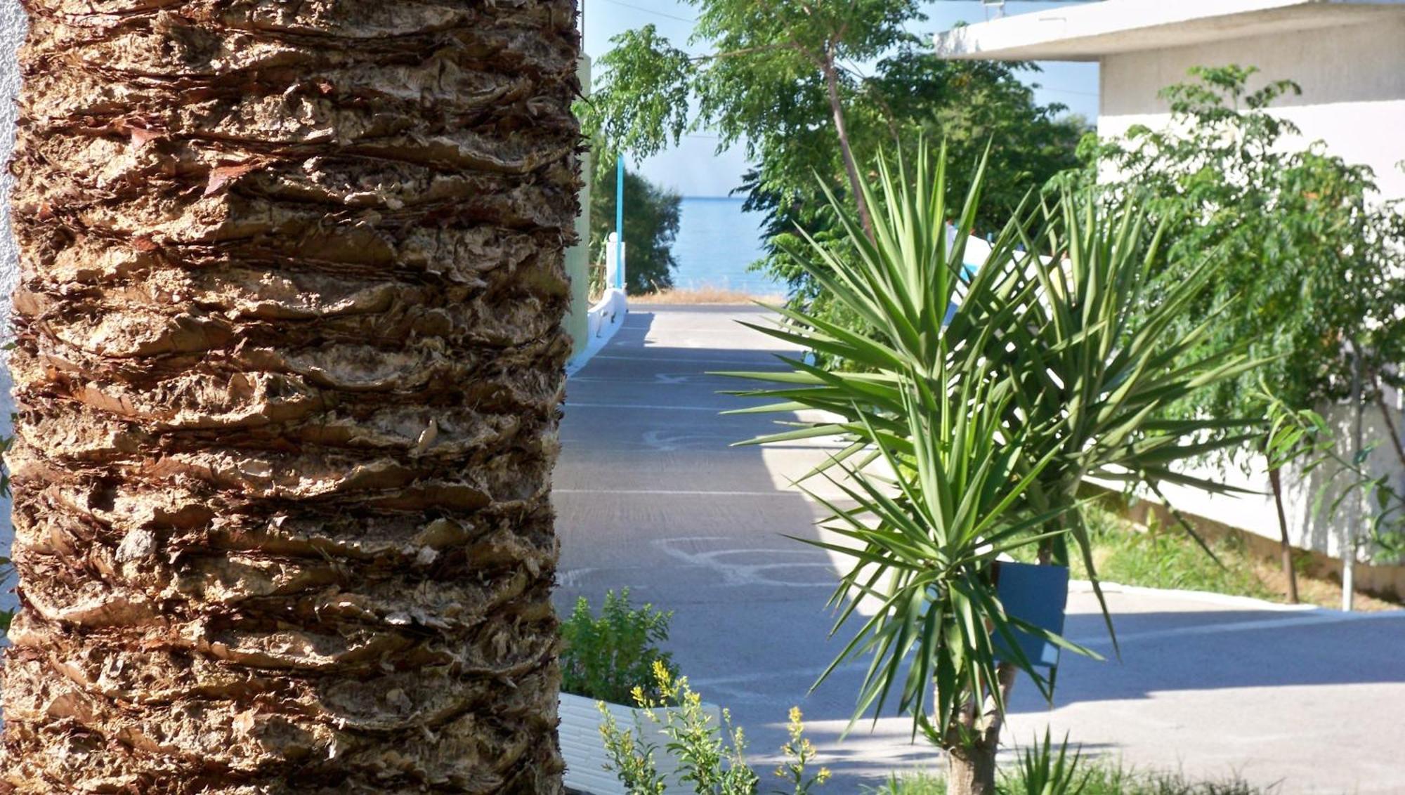 Aphrodite Samos Suites Marathókampos Extérieur photo