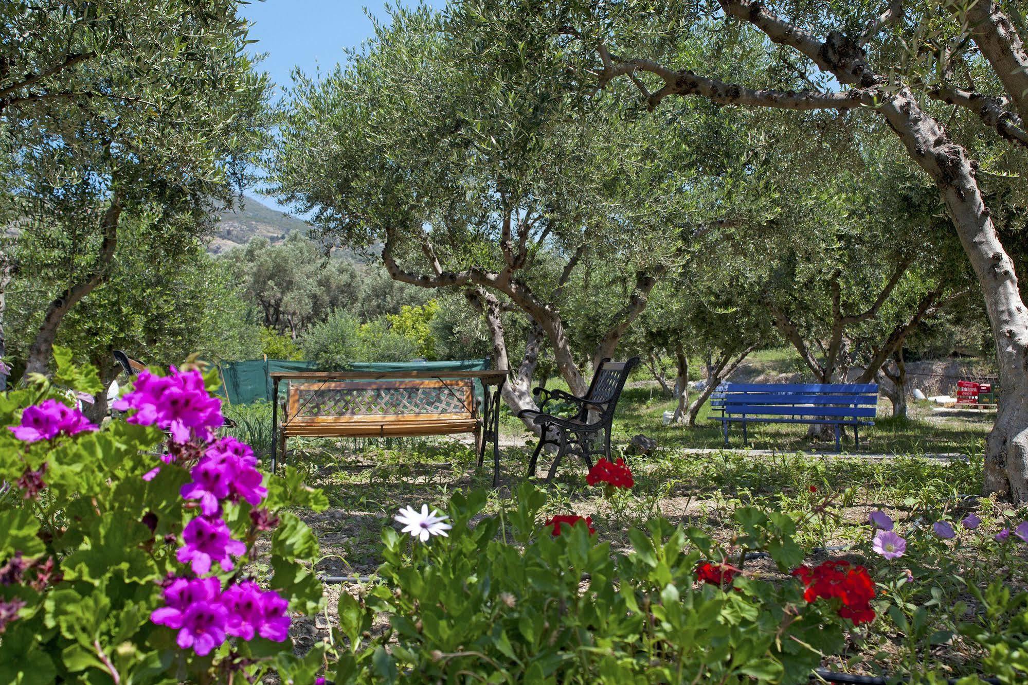 Aphrodite Samos Suites Marathókampos Extérieur photo